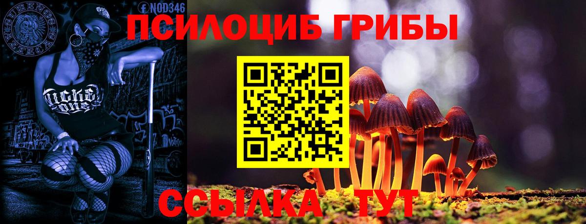 Братск  Галлюциногенные грибы ЛСД  даркнет сайт  Вход с VPN 