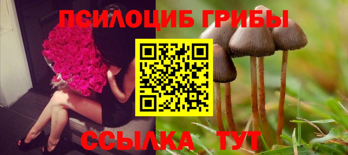 Галлюциногенные грибы MAGIC MUSHROOMS Братск